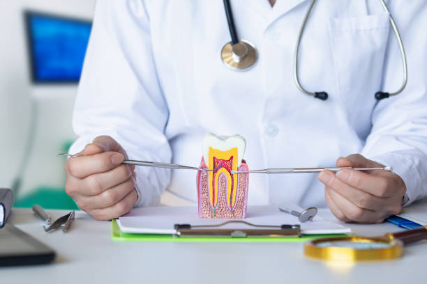 Best Emergency Treatment for Dental Infections or Abscesses in Gordon Heights, NY